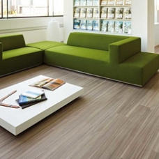 SÀN NHỰA GỖ KẾT HỢP KEO DÁN SẴN TIỆN LỢI SN 15