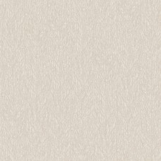 Giấy Dán Tường Hàn Quốc Tại Bình Trưng Tây - Bình Trưng Đông Thủ Đức