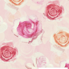 Mẫu Giấy Dán Tường Tại Phú Hữu - Cát Lái Thủ Đức