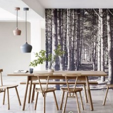 Giấy Dán Tường Tại Tăng Nhơn Phú A - Tăng Nhơn Phú B Thủ Đức