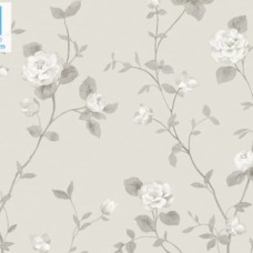 Địa chỉ bán giấy dán tường Hàn Quốc chất lượng tại Dĩ An - Bình Dương