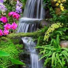 Thi Công Tranh Dán Tường Tại Long Phước Thủ Đức