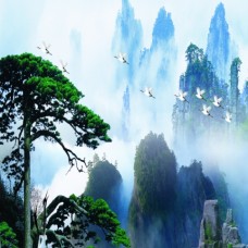 Tranh Dán Tường Cảnh Núi Non Hùng Vĩ Tại Thủ Đức