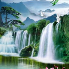 Thi Công Tranh Dán Tường Tại An Phú Thủ Đức