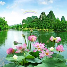 Kho Tranh Dán Tường 3D&5D Thủ Đức Giá Rẻ