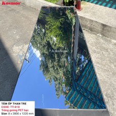 Nhận Cung Cấp Và Thi Công Tấm Ốp Than Tre Tại Long Bình - Thủ Đức