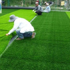 Nơi Bán Thảm Cỏ Chất Lượng Tại Thuận An - Bình Dương