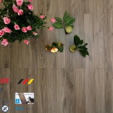 Sàn Gỗ Cốt Xanh Morser Ở Tại Thủ Đức