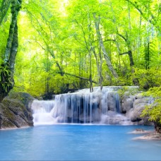 Thi Công Tranh Dán Tường Tại Phú Hữu Thủ Đức