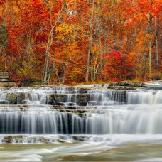 Thi Công Tranh Dán Tường Tại Tân Phú Thủ Đức