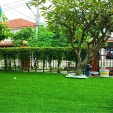 Thảm Cỏ Nhân Tạo Giá Rẻ Tại Biên Hòa - Đồng Nai