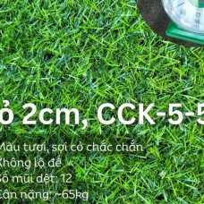 Thảm cỏ nhân tạo giá rẻ tại Bình Tân  - TPHCM