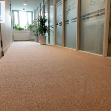 Thảm nỉ trải sàn tại Thủ Dầu Một - Bình Dương