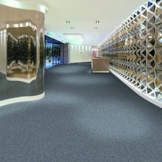 Thảm nỉ trải sàn văn phòng tại Thủ Dầu Một - TPHCM