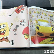 Thi công giấy dán tường Hàn Quốc tại Biên Hòa 