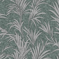 GIẤY DÁN TƯỜNG TẠI LINH XUÂN - THỦ ĐỨC