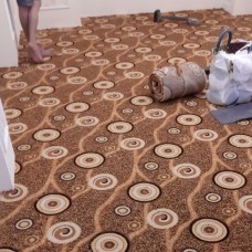 Thảm Trải Sàn Tại Trường Thạnh Thủ Đức