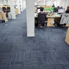 Thi công thảm văn phòng uy tín tại Vườn Lài