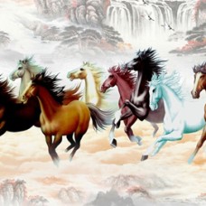 Tranh Dán Tường Mã Đáo Thành Công Tại Thủ Đức