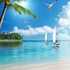 Tranh Dán Tường 3D UV Giá Rẻ Nhất Tại Cát Lái - Thủ Đức