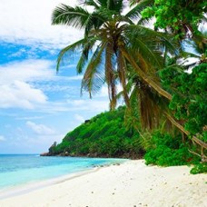 Tranh Dán Tường 3D UV Giá Rẻ Nhất Tại Linh Trung - Thủ Đức