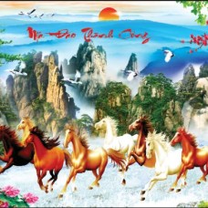 Tranh Dán Tường Tại Bình Chiểu Thủ Đức