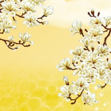 Tranh Dán Tường Tại Bình Trưng Tây Bình Trưng Đông