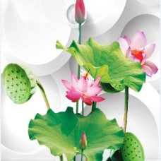 Tranh Dán Tường Tại Tăng Nhơn Phú A Tăng Nhơn Phú B