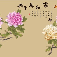 Tranh Dán Tường 3D Ở Tại Trường Thọ Bình Thọ Thủ Đức