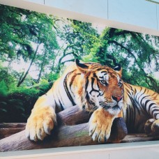 Tranh Dán Tường Giá Rẻ Tại Thủ Đức