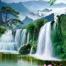 Thi Công Tranh Dán Tường Tại Quận 9 Giá Rẻ