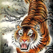 Xem Mẫu Tranh Dán Tường Tại Quận 9